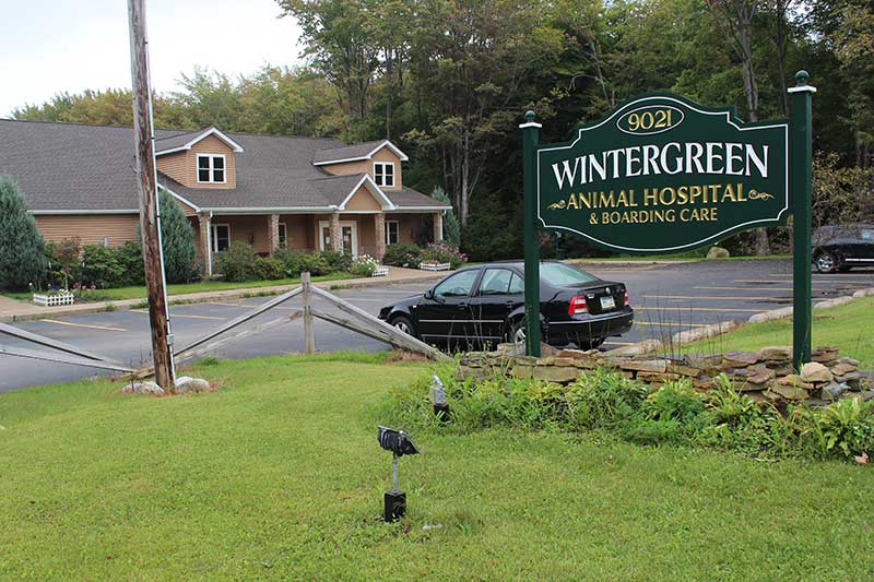 veterinary clinic in Erie